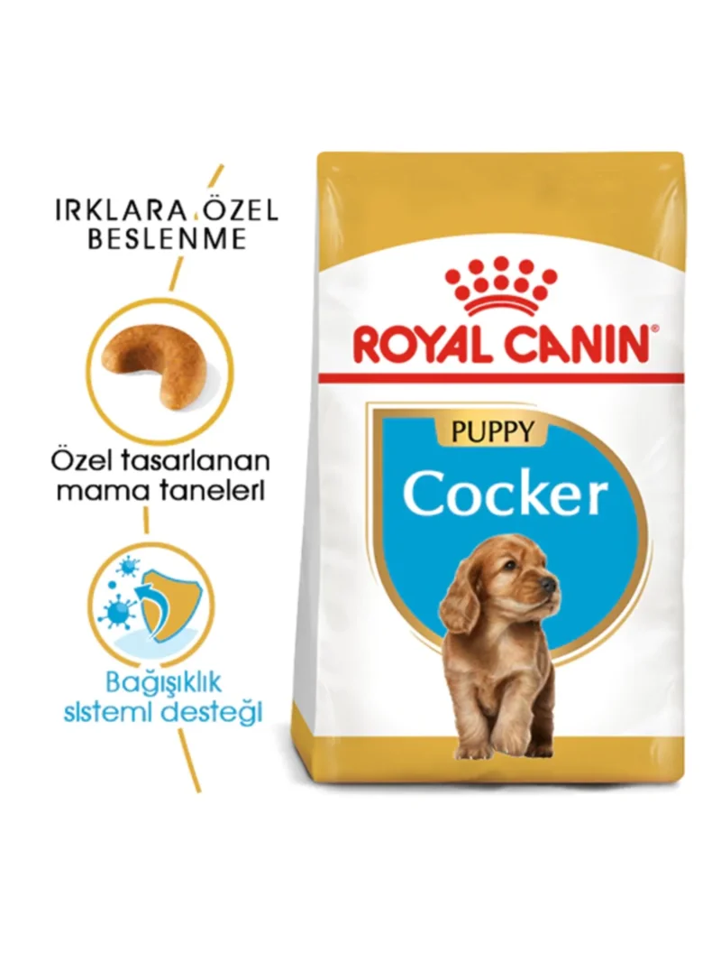 Ürün görseli 6