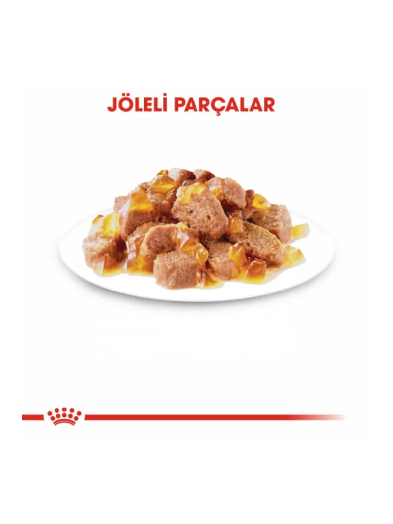 Ürün görseli 4