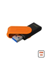 Kingston 256GB DataTraveler Exodia S