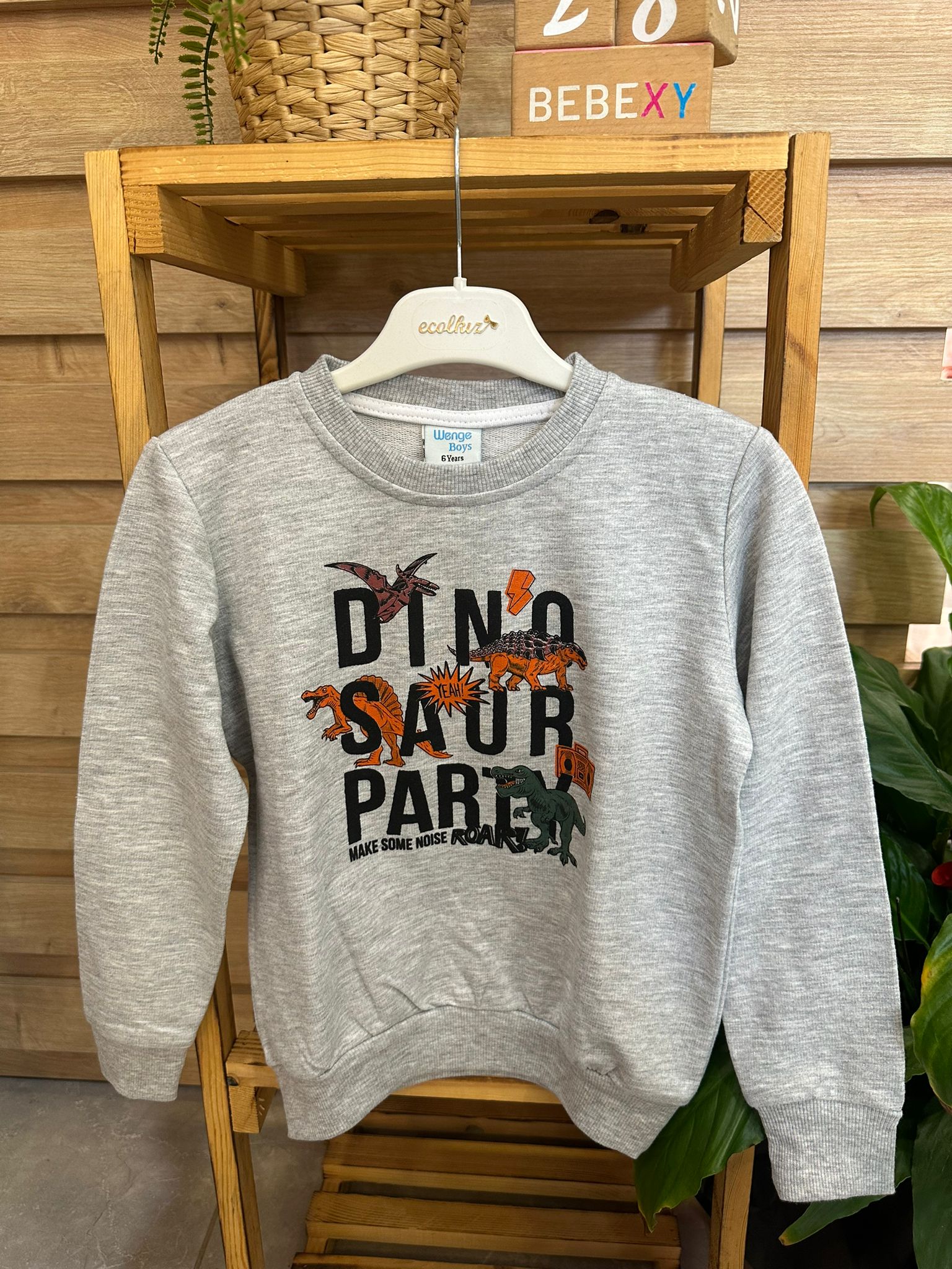 Dino Baskılı Sweatshirt 