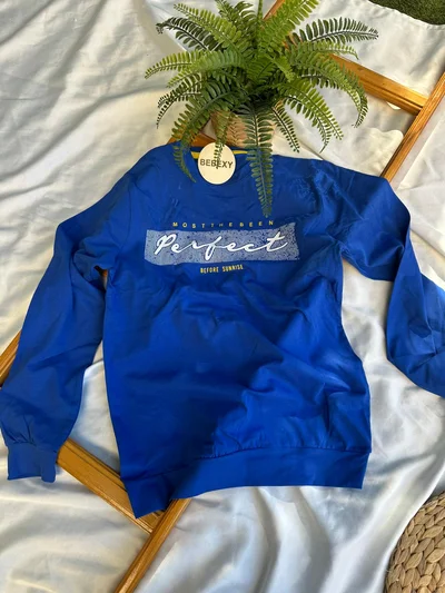Be Great Baskılı  Sweatshirt  Mavi 41/