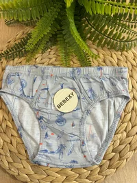 Erkek Çocuk Külot Summer Baskılı