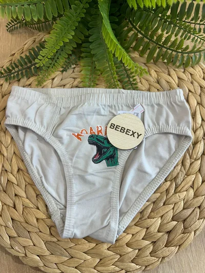 Erkek Çocuk Külot  Trex Baskılı