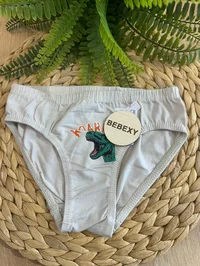 Erkek Çocuk Külot Trex Baskılı