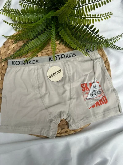 Skate Baskılı Çocuk Boxer