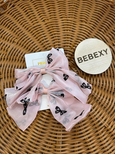 2'Li Büyük Boy  Somon Fiyonklu Pensli Toka