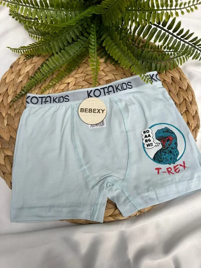 Mavi T-Rex Baskılı Çocuk Boxer