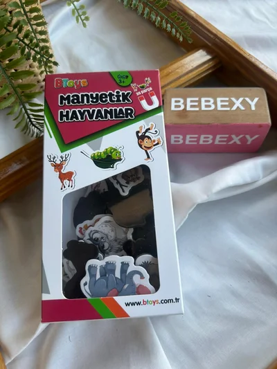 Manyetik Hayvanlar 35 Parça