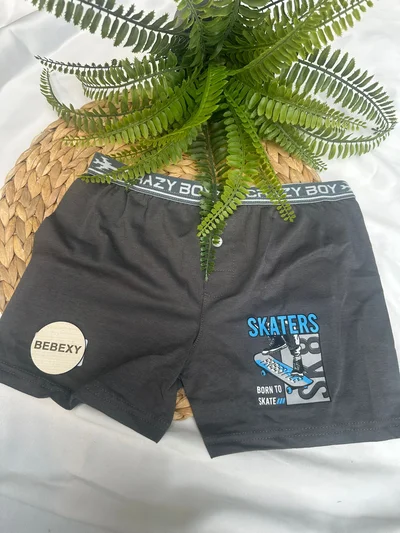Çocuk Boxer  Dümeli Mavi  Skaters