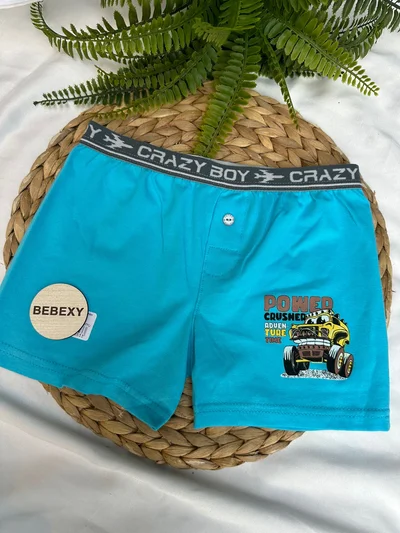 Powed Sarı Araba Baskılı Çocuk Boxer Dümeli 