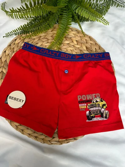 Powed Baskılı Çocuk Boxer Dümeli 