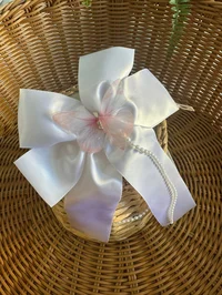 Ürün görseli 2