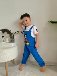 Ürün görseli 2