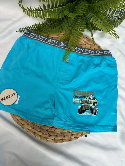 Powed Krem Araba  Baskılı Çocuk Boxer Dümeli 