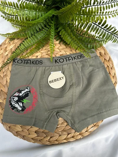 Dino  Baskılı Çocuk Boxer