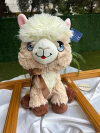 Ürün görseli 2