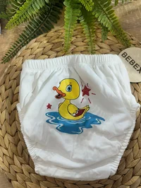 Ürün görseli 2