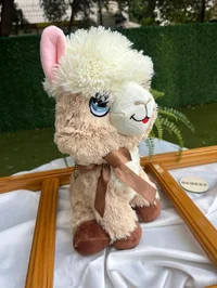 Ürün görseli 3