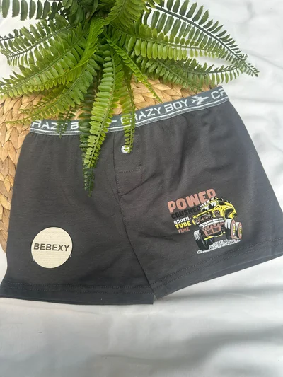 Powed  Baskılı Çocuk Boxer Dümeli 