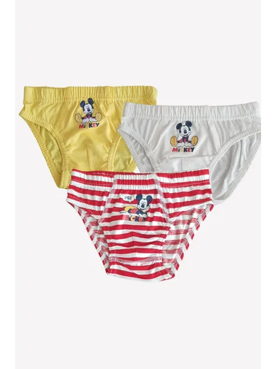 Erkek Çocuk 3 Adet Slip Külot Mickey Mouse Lisanslı