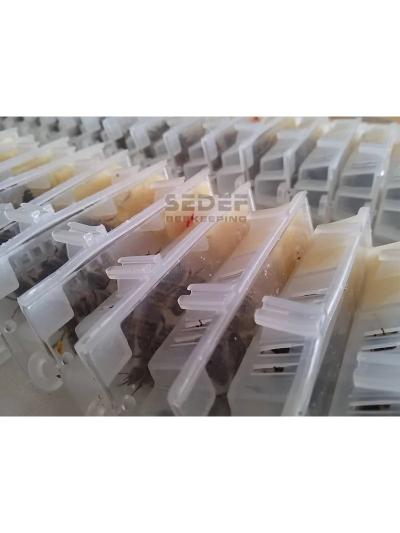 Ürün görseli 2