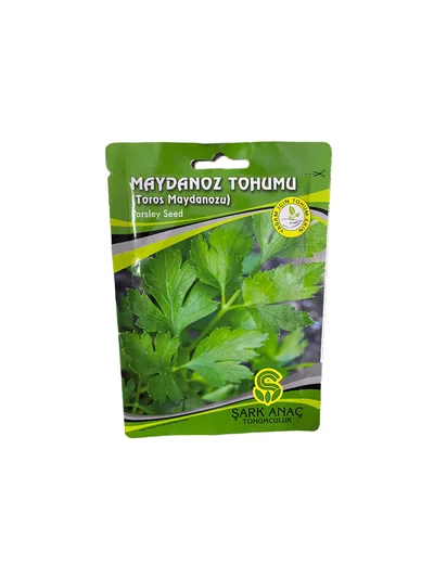 MAYDANOZ TOHUMU