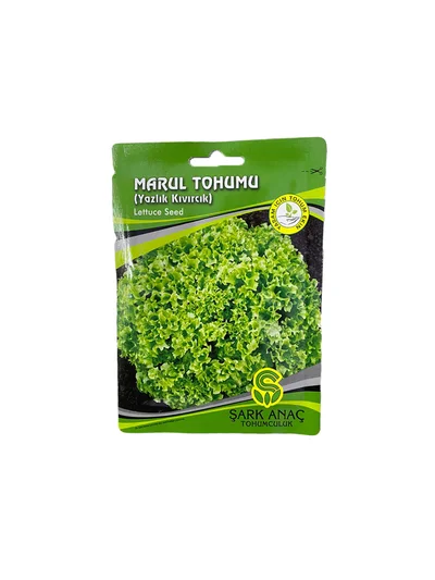 KIVIRCIK MARUL TOHUMU
