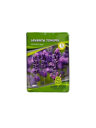 LAVANTA TOHUMU