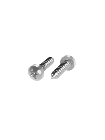3.9x19 mm YSB Inox Saç Vidası DIN 7981