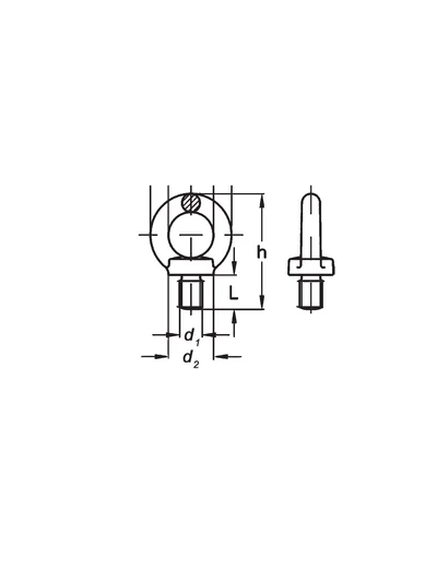 Aybolt Erkek 42 mm DIN 580
