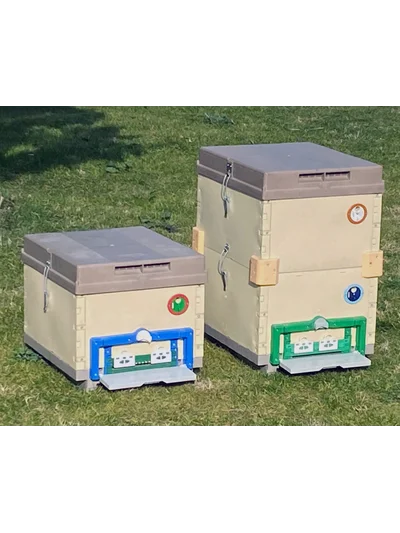 Plastik Termo Kovan Tek Katlı 10 Çerçevelik 04011