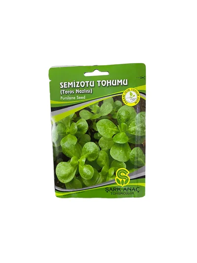 SEMİZOTU TOHUMU