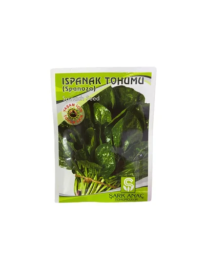 ISPANAK TOHUMU